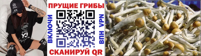 Галлюциногенные грибы Magic Shrooms Олёкминск